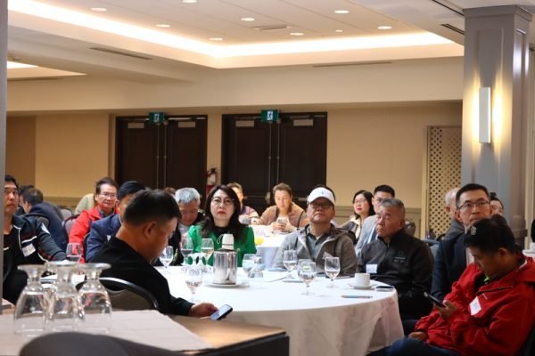 image-20.jpg