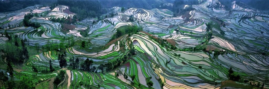 image-10.jpg