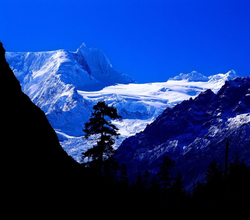 image-11.jpg
