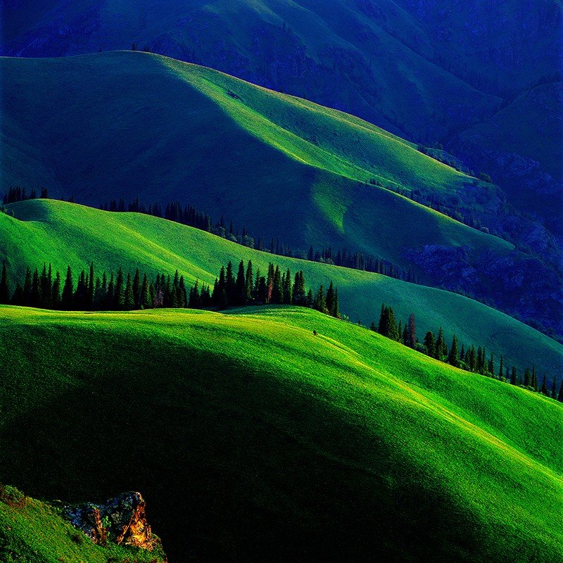 image-12.jpg