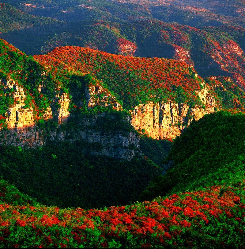image-8.jpg