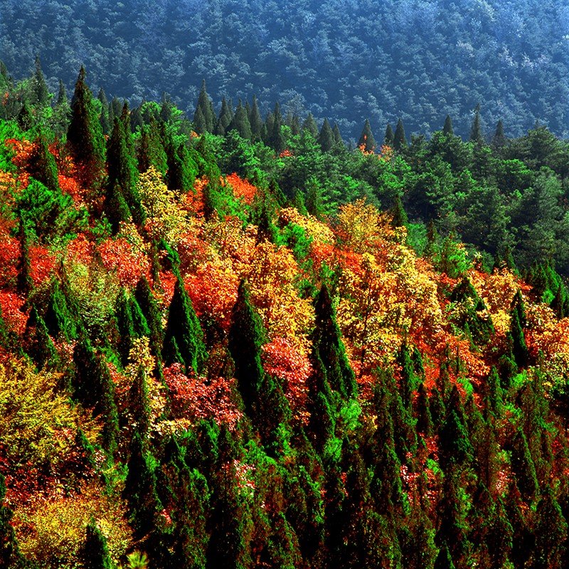 image-9.jpg
